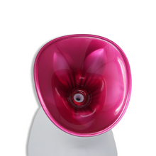Load image into Gallery viewer, Face Steamer (Plug-In)